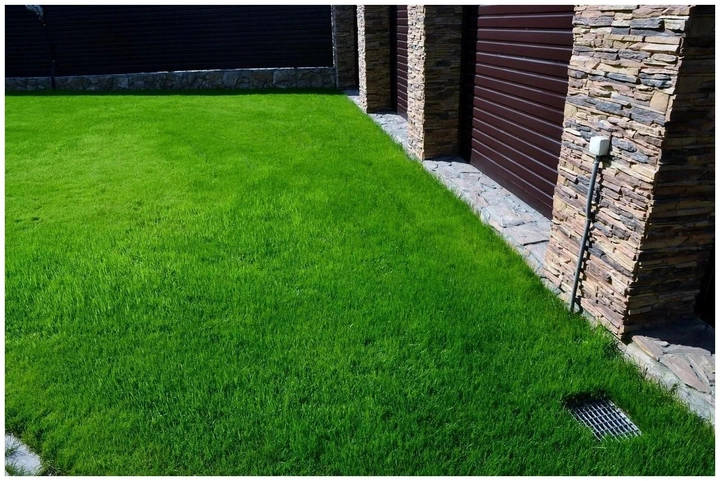 Газонная трава 2 кг Засухоустойчивая для Солнечных участков Green Home - фото 8