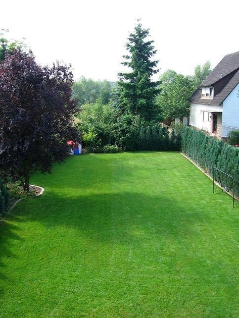 Газонная трава 2 кг Засухоустойчивая для Солнечных участков Green Home - фото 6